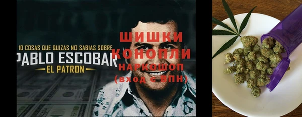 стаф Беломорск